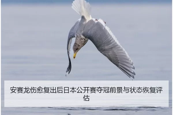 an-sai-long-shang-yu-fu-chu-hou-ri-ben-gong-kai-sai-duo-guan-qian-jing-yu-zhuang-tai-hui-fu-ping-gu-3-142.jpg